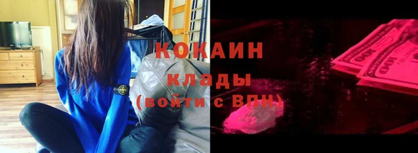 индика Алексин