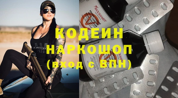 дживик Ельня
