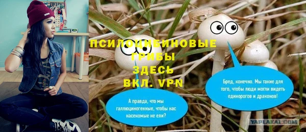 spice Семикаракорск