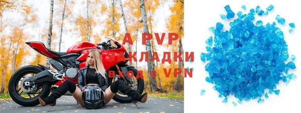 индика Алексин