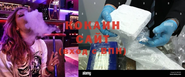 молекула духа Арсеньев