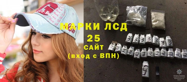 индика Алексин